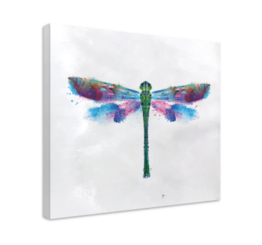 White background with dragonfly canvas prints - TenStickers
