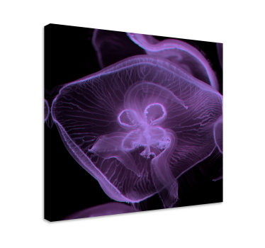 Jellyfish art animal canvas - TenStickers