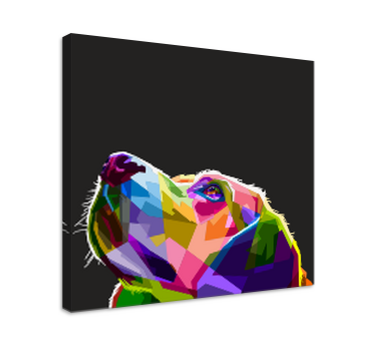 Rainbow dog canvas pictures - TenStickers