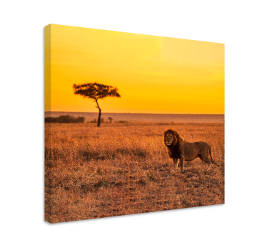 Wild savanna tree in the evening animal canvas - TenStickers