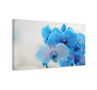 Blue orchid flower  floral canvas - TenStickers
