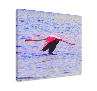 Fish canvas flamingo in flight - TenStickers