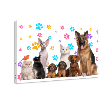 Dogs and cats animal canvas - TenStickers