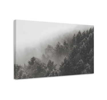 Forest with white pines 3D canvas pictures - TenStickers