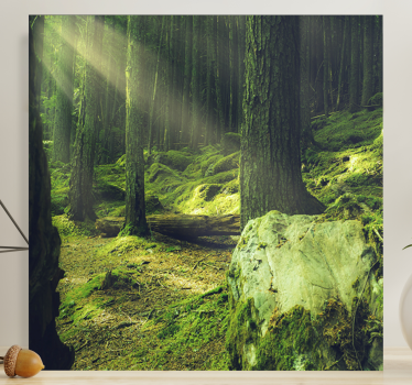 "Nature" rocks with moss in the forest Tree canvas print - TenStickers