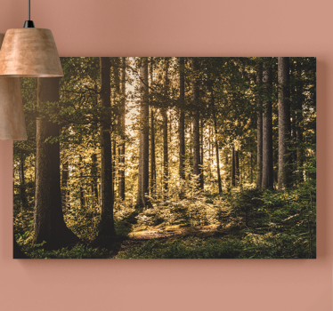 "Nature"midday forest Tree canvas print - TenStickers
