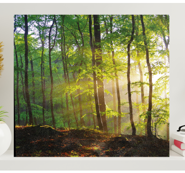 Sunlit Forest Scene tree canvas wall art - TenStickers