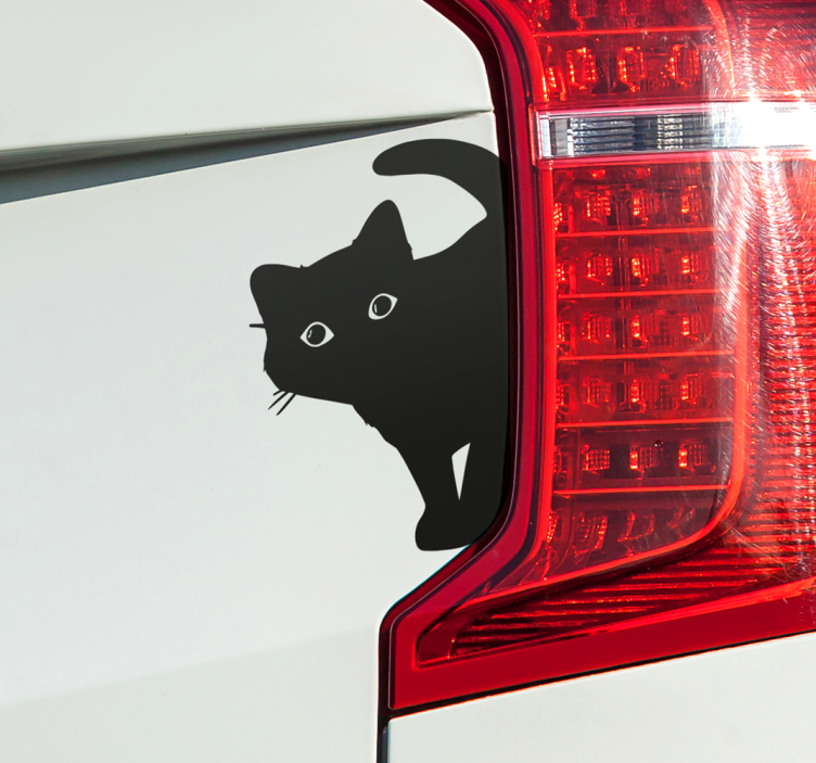 Curious cat car sticker - TenStickers