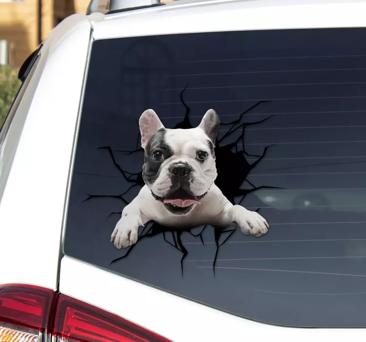Dog Glass car sticker - TenStickers