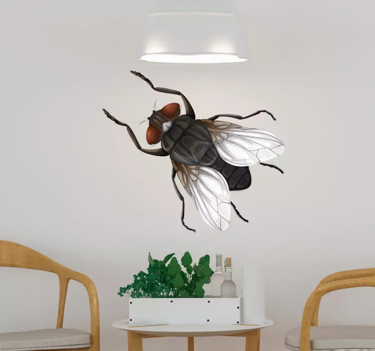 Realistic Fly Illustration insect wall sticker - TenStickers