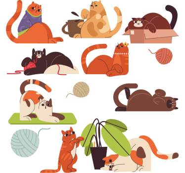 Playing cats window sticker - TenStickers