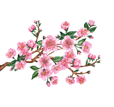 Blossom branch window sticker - TenStickers