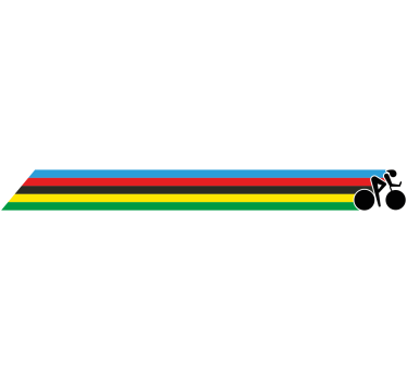World Champion colors stripes bike sticker - TenStickers