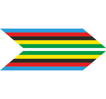 Arrow stipe with World Champion colors bike sticker - TenStickers