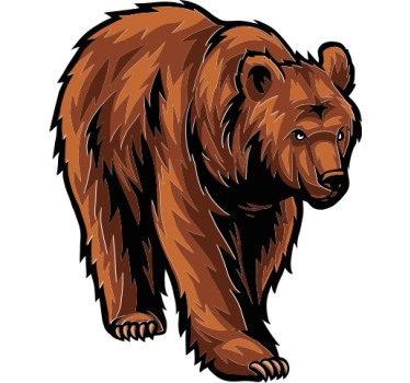 bear illustration car sticker - TenStickers