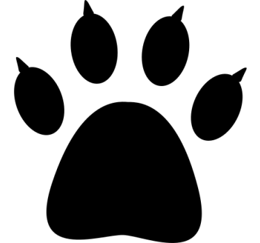 Bear tracks car sticker - TenStickers