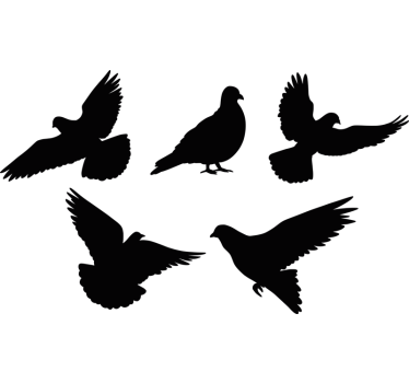 birds anti-collision window sticker - TenStickers