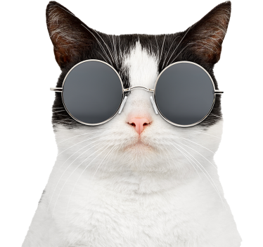 cat with sunglasses car sticker - TenStickers