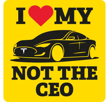 "Tesla Elon Musk" car sticker - TenStickers