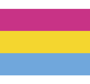 Pansexual flag car sticker - TenStickers
