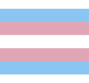 Trans flag car sticker - TenStickers