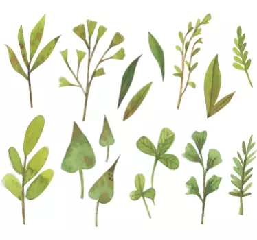 Watercolor leaves plant wall decor - TenStickers
