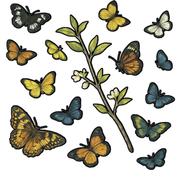 Green butterflies pattern window sticker - TenStickers