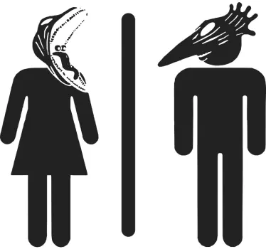 Toilet door sticker Bitelchus man and woman - TenStickers