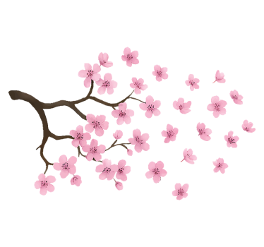 Car sticker pink cherry blossom decal - TenStickers