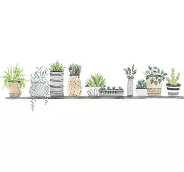 Shelf plants plant wall decor - TenStickers