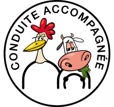 funny accompanied driving character Car Decal - TenStickers