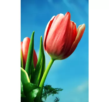 Beautiful tulip blooms recycling decal for bin - TenStickers