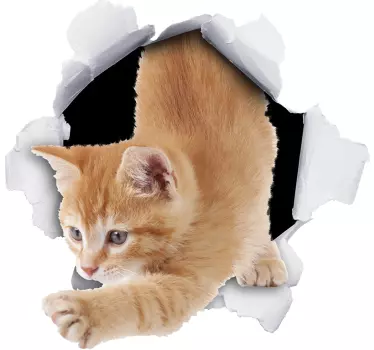cat trompe l'oeil  decal - TenStickers