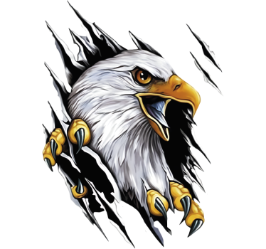 Car sticker american bald eagle claw - TenStickers