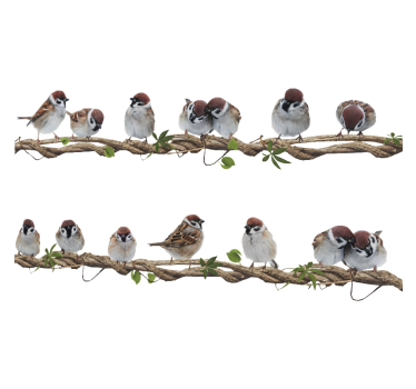Window sticker house sparrows on branches - TenStickers