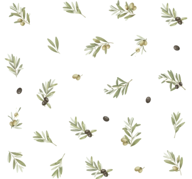Window sticker olive vines set - TenStickers