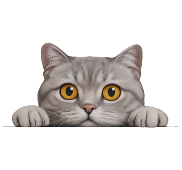Peeking curious cat window sticker - TenStickers