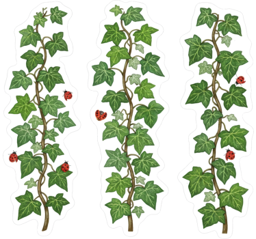 Window sticker garden vine medley - TenStickers