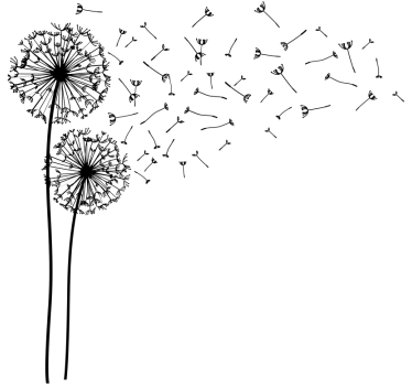 Dandelions window sticker - TenStickers