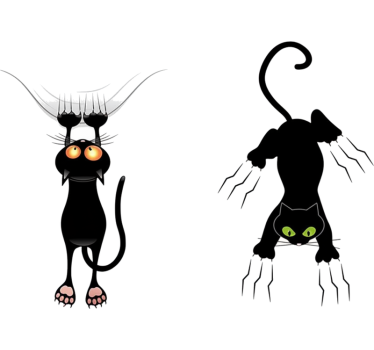 Car sticker scratching black cats - TenStickers
