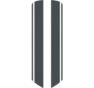 Car sticker simplistic monochrome double stripe - TenStickers
