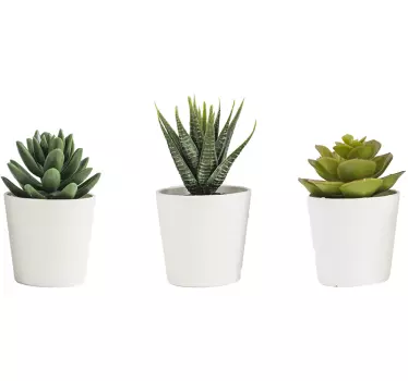 3D Cacti Pots Living Room Wall Decor - TenStickers