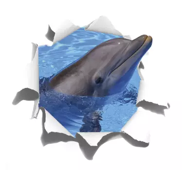 Dolphin visual effects wall sticker - TenStickers