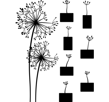 Dandelion pictures flower wall decal - TenStickers
