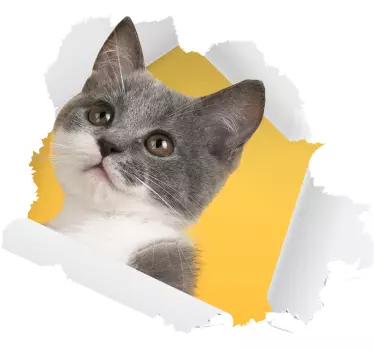 3D Cat Sticker wall decor - TenStickers