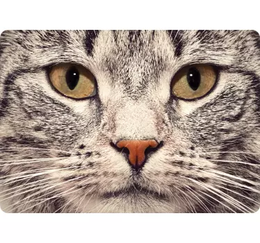 Cat face laptop  laptop skin - TenStickers