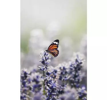 Butterflies window sticker - TenStickers