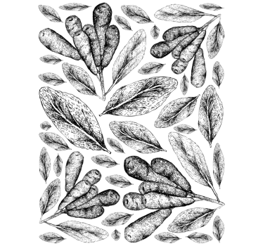Polish plants window decal - TenStickers