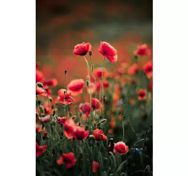 Polish poppy flowers window sticker - TenStickers