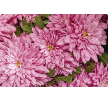 Pink floral spring laptop skin - TenStickers